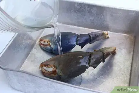 Image titled Cook Stone Crab Claws Step 14