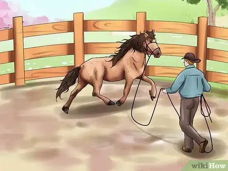 Image titled Get a Head Shy Horse To Trust You Step 2