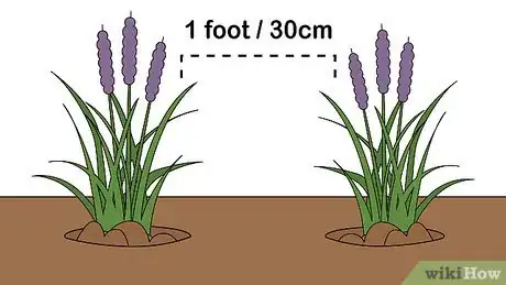 Image titled Plant Monkey Grass Step 8