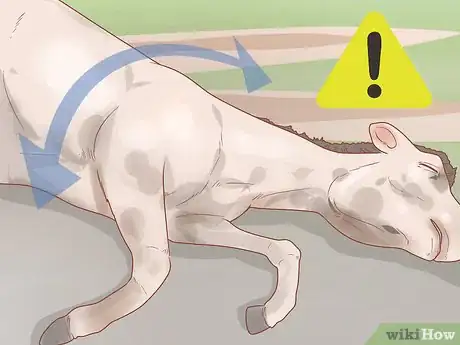 Image titled Check Whether Your Horse or Donkey Needs to See a Dentist Step 9