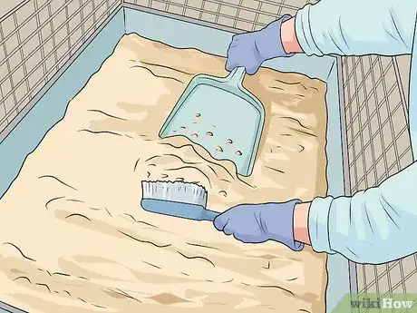 Image titled Make a Pet Love You Step 7