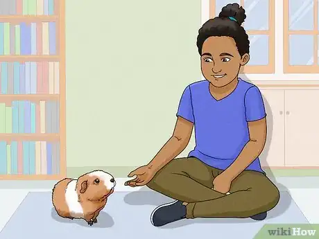 Image titled Keep Your Guinea Pigs Healthy Step 13