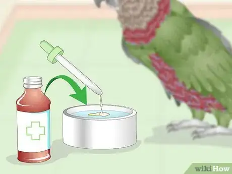 Image titled Treat Infections in Hawk Headed Parrots Step 10