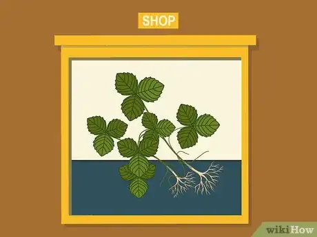 Image titled Grow Strawberries Step 01
