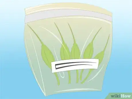 Image titled Propagate Azaleas Step 29