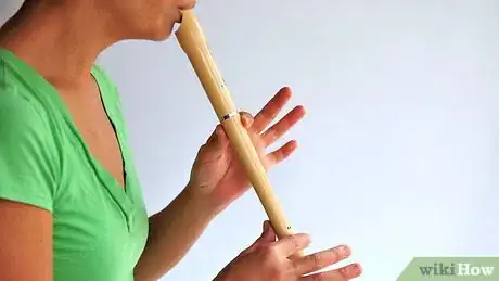 Image titled Play the Recorder Step 3
