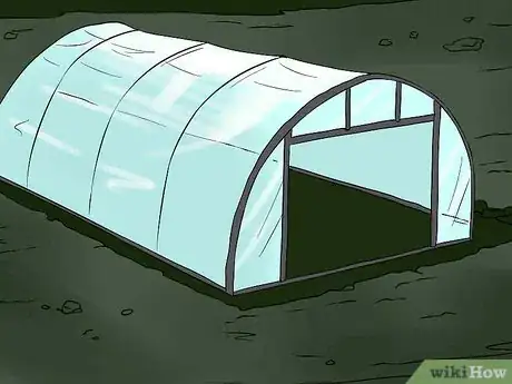 Image titled Help Carnations Make a Comeback Step 2