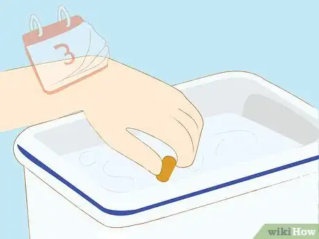 Image titled Set up a Billabong Bugs Kit Step 10