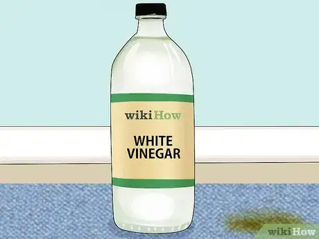 Image titled Remove Pet Stains Step 5