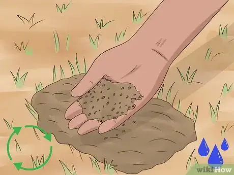 Image titled Plant Wildflowers Step 16