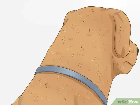 Image titled Choose Between Oral and Topical Flea Preventatives Step 3