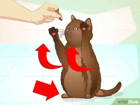 Image titled Teach Your Cat to Do Tricks Step 13