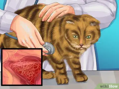 Image titled Choose a Heartworm Preventative for Your Cat Step 1