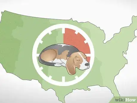 Image titled Move Cross Country with Multiple Pets Step 7