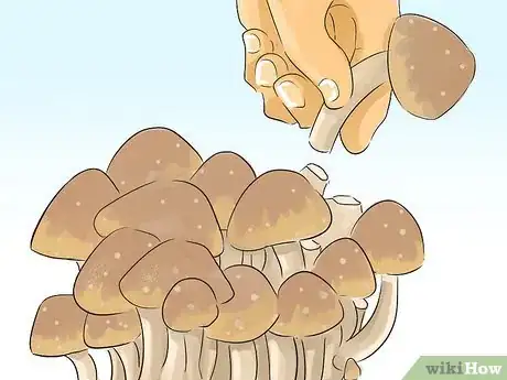 Image titled Get Calcium As a Vegan Step 9