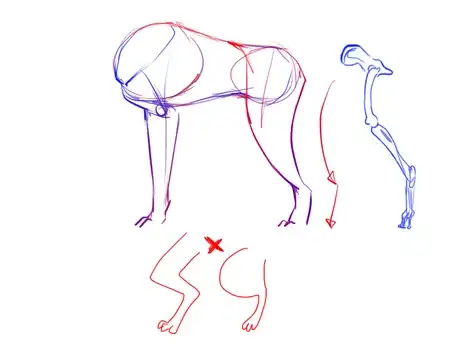 Image titled Poodle4.png