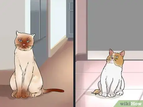 Image titled Prevent Fights Between Cats Step 9