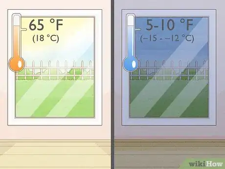 Image titled Grow Mandarin Trees Step 17