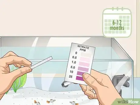 Image titled Avoid Algae in an Aquarium Step 8