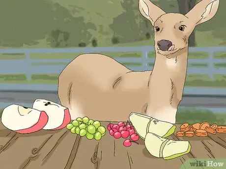 Image titled Feed Deer Step 3
