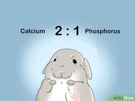 Image titled Handle Calcium Deficiency in Chinchillas Step 11