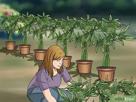 Image titled Plant Step 2