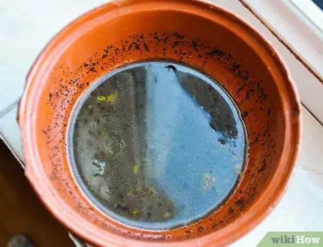 Image titled Make and Apply a Honey and Coffee Facial Mask Step 2