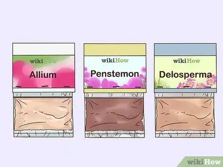 Image titled Grow Perennials From Seed Step 1