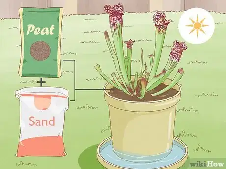 Image titled Raise Carnivorous Plants Step 18