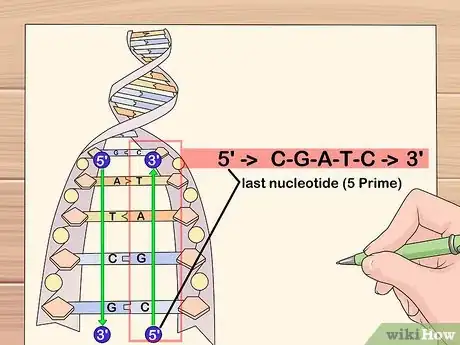 Image titled 7115146 1