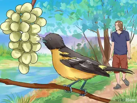 Image titled Write a Nature Haiku Step 4