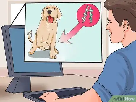 Image titled Get Dogs to Mate Step 3