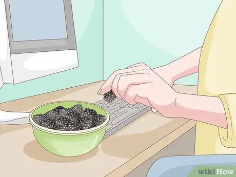 Image titled Harvest Blackberries Step 13