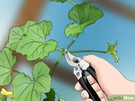 Image titled Prune Cucumber Plants Step 5