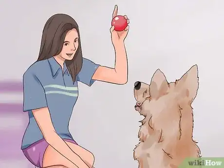 Image titled Get Used to Dogs Step 12