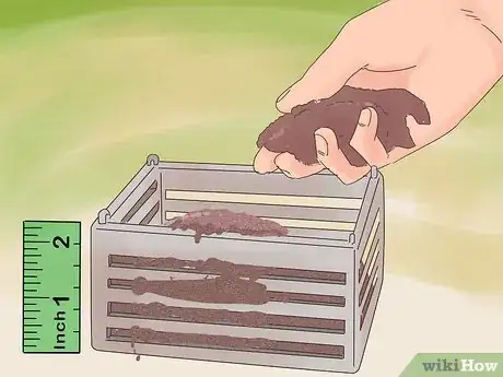 Image titled Grow Vanda Orchids Step 5