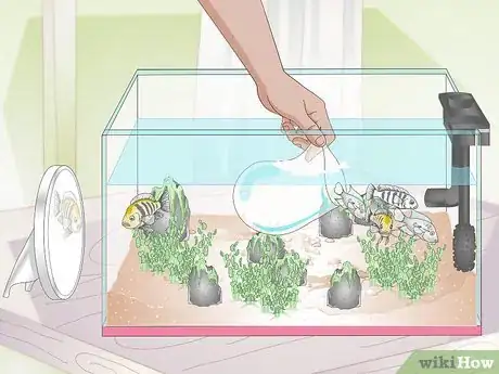Image titled Buy Fish for an Aggressive Freshwater Aquarium Step 7