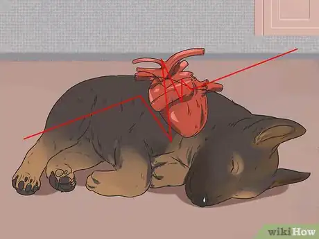 Image titled Change Dog Food Step 6