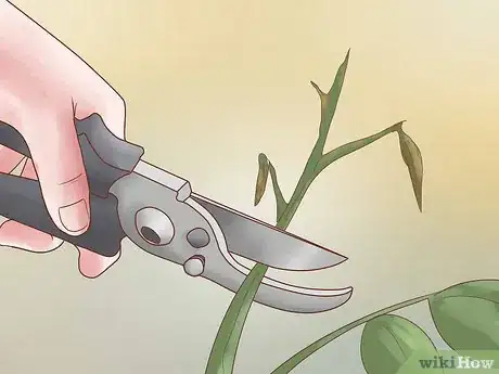 Image titled Prune Rosa Rugosa Step 3