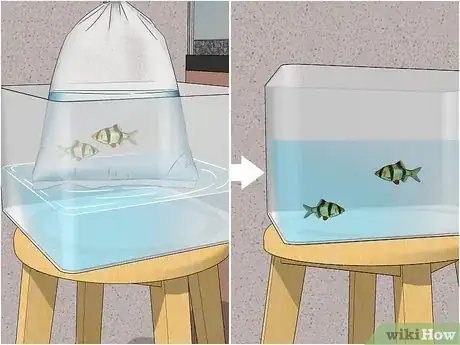 Image titled Acclimate Your Fish to a New Aquarium Step 7