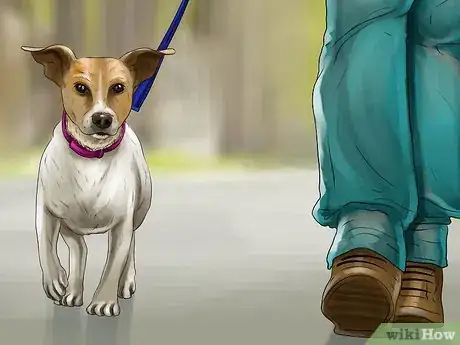 Image titled Get a Dog to Vomit Step 2