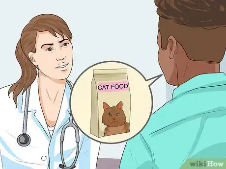 Image titled Adopt a Special Needs Cat Step 8