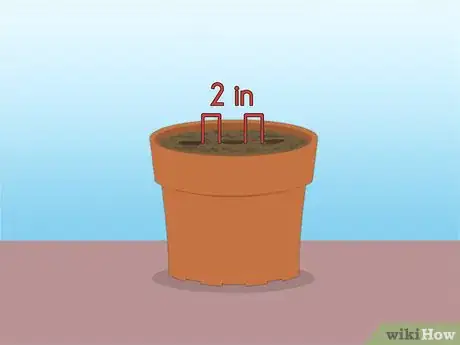 Image titled Propagate Azaleas Step 19