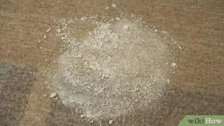Image titled Dry Clean a Carpet at Home Step 15