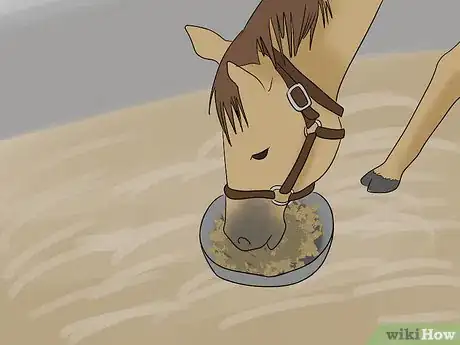 Image titled Load a Frightened Horse Into a Horse Trailer Step 10