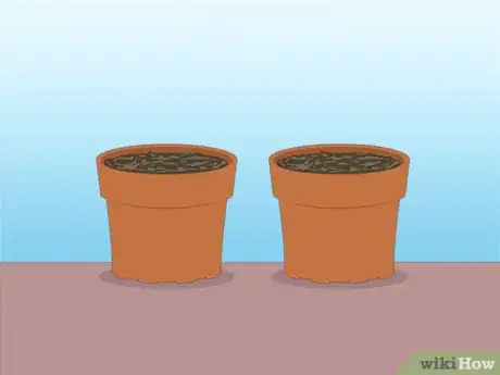 Image titled Propagate Azaleas Step 33