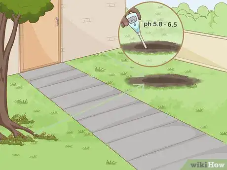 Image titled Plant a Shrub Step 1