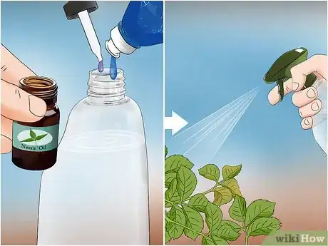 Image titled Buy Organic Insecticides Step 8