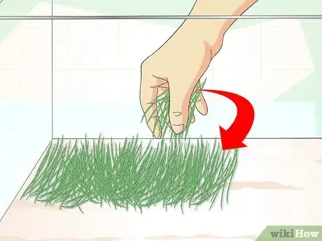 Image titled Set up a Gerbilarium Step 3