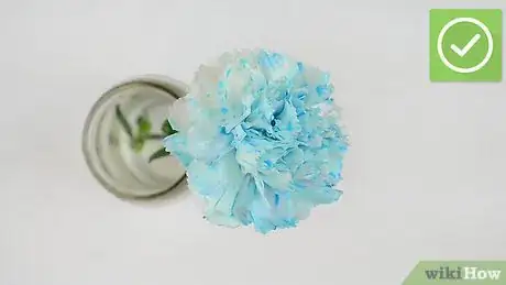 Image titled Dye Carnations Step 18